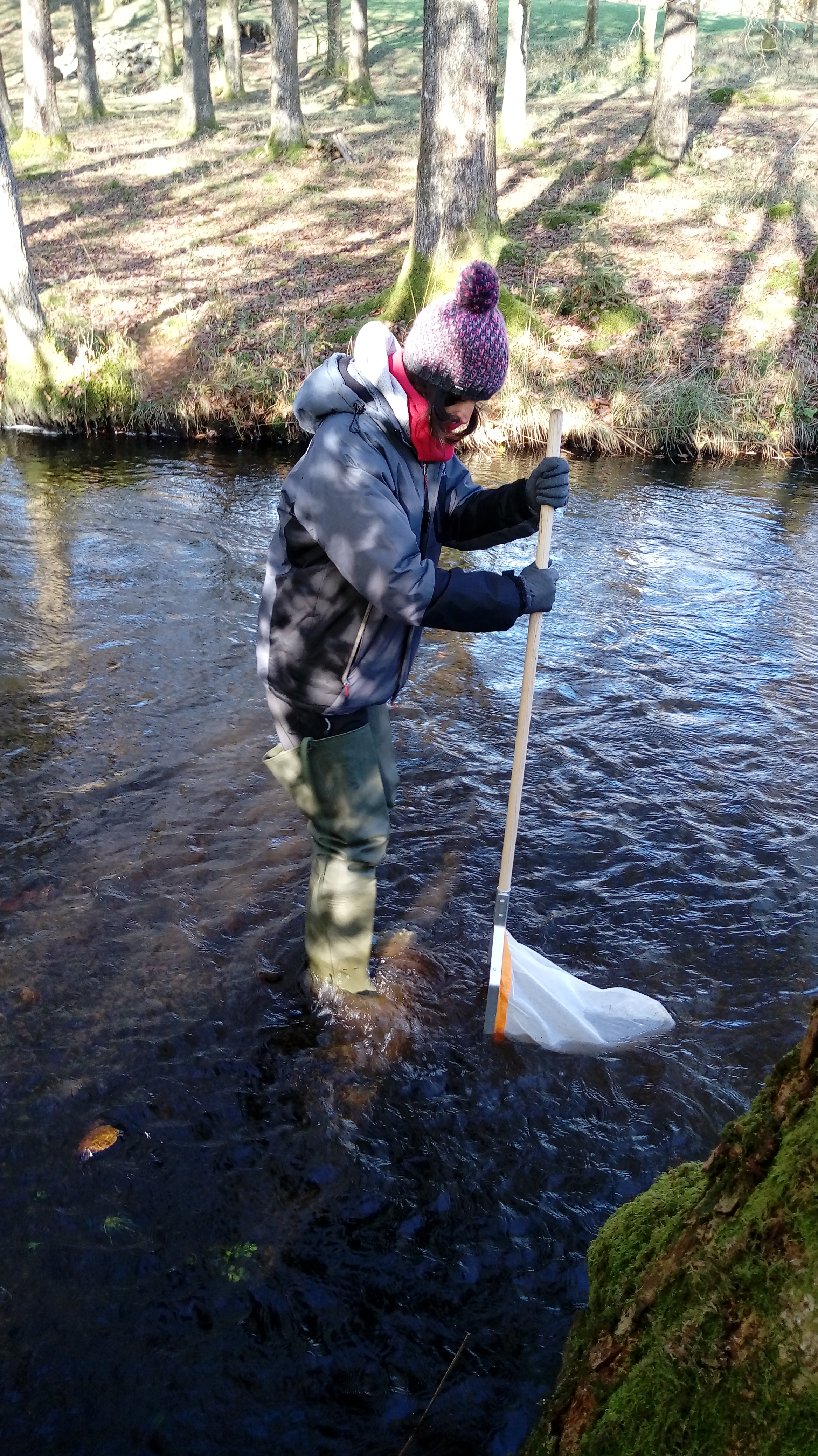 How macroinvertebrates are used to assess the quality of a river – Geek ...