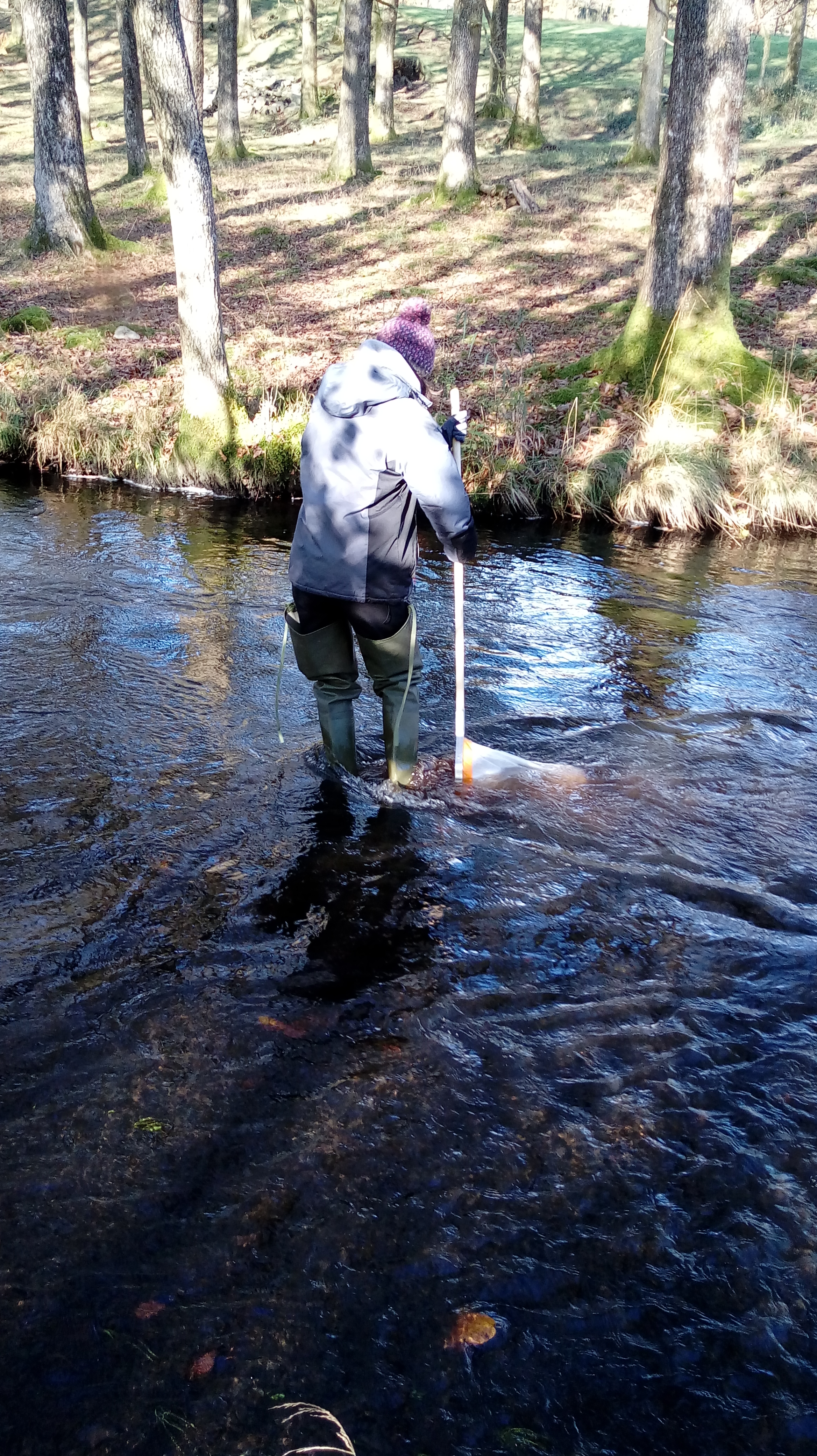 How macroinvertebrates are used to assess the quality of a river – Geek ...